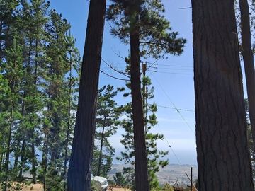Magico terreno en tunquen, con cuidadores, cercano a playa