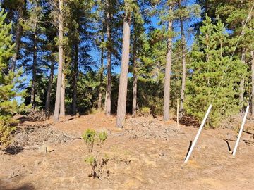 Magico terreno en tunquen, con cuidadores, cercano a playa