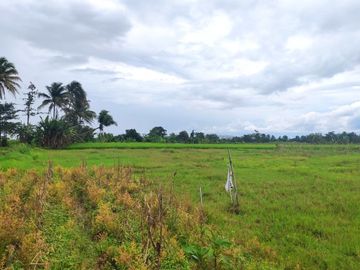 Kavling Tanah Hunian Asri View Gunung Salak Terima SHM Pecah