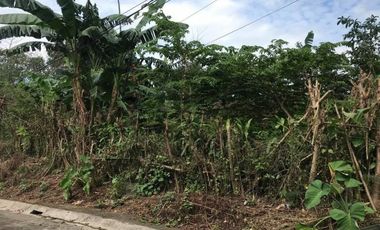 FOR SALE! Serene 360 sqm residential lot w/ view of Laguna de Bay in Jamaica Hills Subdivision, Los Ba&ntilde;os
