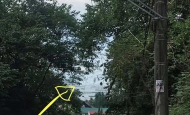 FOR SALE! Serene 360 sqm residential lot w/ view of Laguna de Bay in Jamaica Hills Subdivision, Los Ba&ntilde;os
