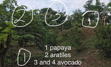 FOR SALE! Serene 360 sqm residential lot w/ view of Laguna de Bay in Jamaica Hills Subdivision, Los Ba&ntilde;os