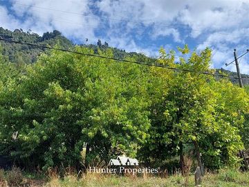 Parcela en Venta en Pitreño