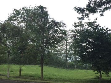 Tanah Kavling Citraland Taman Dayu Prigen Pandaan Pasuruan