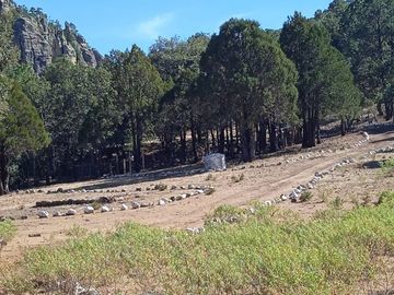 RANCHO EN VENTA CARICHI CD. CUAUHTÉMO, CHIHUAHUA.