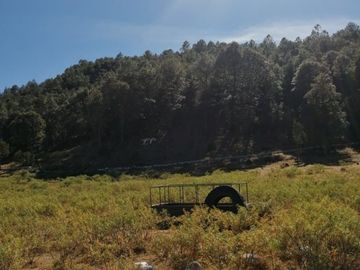 RANCHO EN VENTA CARICHI CD. CUAUHTÉMO, CHIHUAHUA.