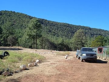 RANCHO EN VENTA CARICHI CD. CUAUHTÉMO, CHIHUAHUA.