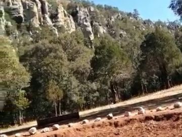 RANCHO EN VENTA CARICHI CD. CUAUHTÉMO, CHIHUAHUA.