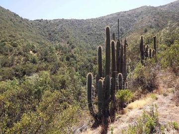 Parcela en Venta en La Aurora / las Chilcas