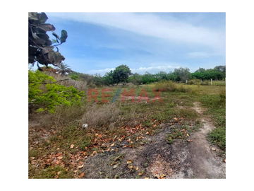 SE VENDE TERRRENO EN MONSEFÚ – CALAZAN
📌 Partida electrónica independizada e inscrito en SUNARP.
📌 Servicio de energía eléctrica 
📌 AREA: 540.00m2