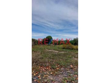 SE VENDE TERRRENO EN MONSEFÚ – CALAZAN
📌 Partida electrónica independizada e inscrito en SUNARP.
📌 Servicio de energía eléctrica 
📌 AREA: 540.00m2