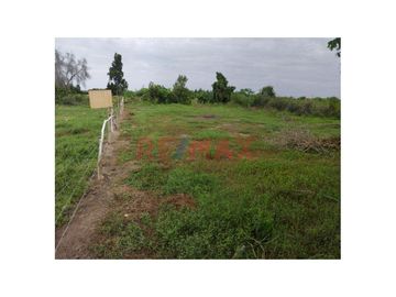 SE VENDE TERRRENO EN MONSEFÚ – CALAZAN
📌 Partida electrónica independizada e inscrito en SUNARP.
📌 Servicio de energía eléctrica 
📌 AREA: 540.00m2
