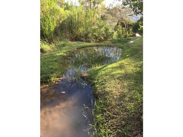 Finca en Venta en Viani Via Chaguani 36.8 Hectareas