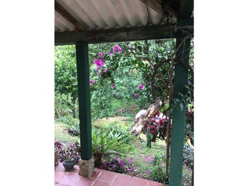 Finca en Venta en Viani Via Chaguani 36.8 Hectareas