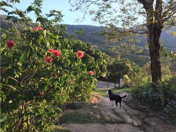Finca en Venta en Viani Via Chaguani 36.8 Hectareas