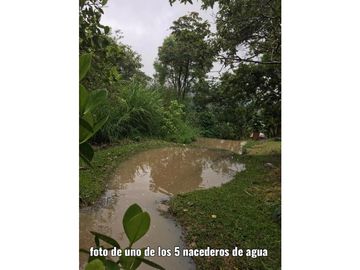 Finca en Venta en Viani Via Chaguani 36.8 Hectareas