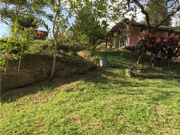Finca en Venta en Viani Via Chaguani 36.8 Hectareas