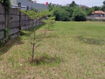 Tanah bonus gudang Cileungsi pinggir jalan raya Narogong