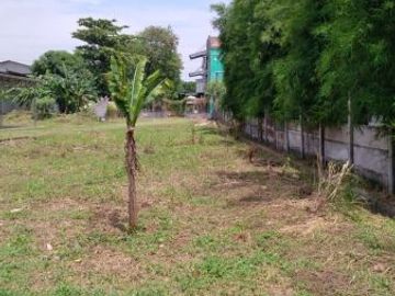 Tanah bonus gudang Cileungsi pinggir jalan raya Narogong
