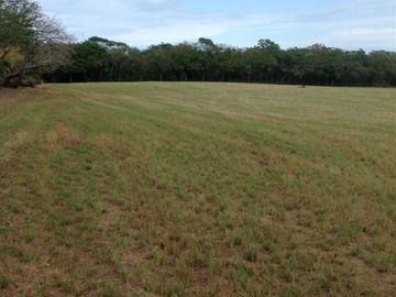 Venta rancho por Paso del Toro, Ver.