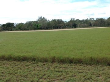 Venta rancho por Paso del Toro, Ver.