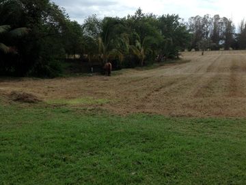 Venta rancho por Paso del Toro, Ver.