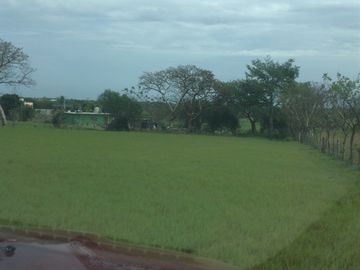 Venta rancho por Paso del Toro, Ver.