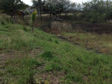 Venta rancho por Paso del Toro, Ver.