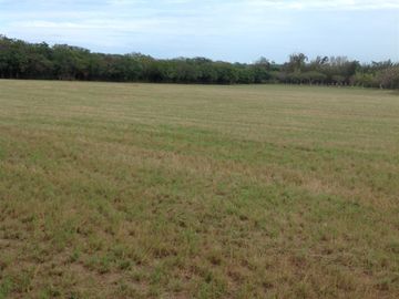 Venta rancho por Paso del Toro, Ver.