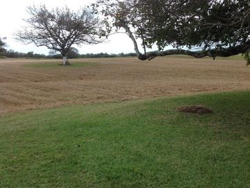 Venta rancho por Paso del Toro, Ver.