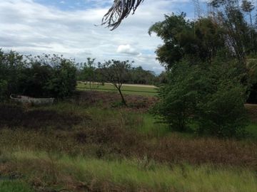 Venta rancho por Paso del Toro, Ver.