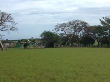 Venta rancho por Paso del Toro, Ver.