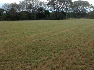 Venta rancho por Paso del Toro, Ver.