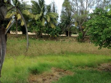 Venta rancho por Paso del Toro, Ver.