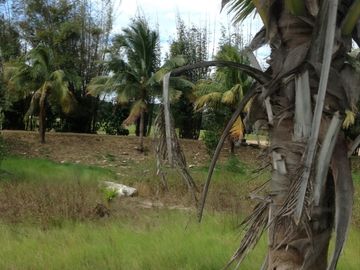 Venta rancho por Paso del Toro, Ver.