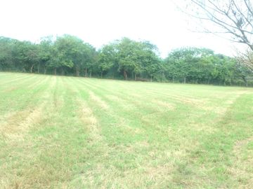 Venta rancho por Paso del Toro, Ver.