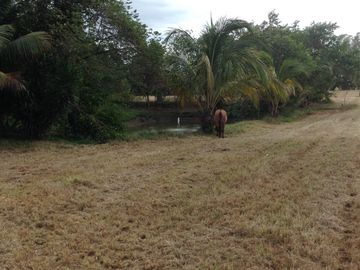 Venta rancho por Paso del Toro, Ver.