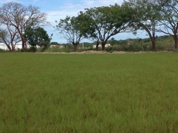 Venta rancho por Paso del Toro, Ver.
