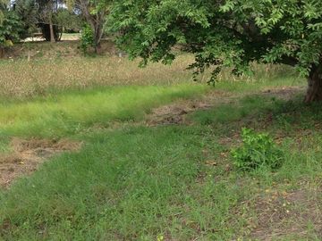 Venta rancho por Paso del Toro, Ver.
