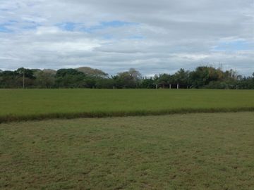 Venta rancho por Paso del Toro, Ver.