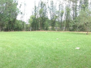Venta rancho por Paso del Toro, Ver.