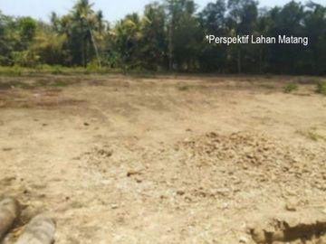 Kavling Dekat Pasar Kedungsukun, Sertipikat SHM: 60 Jt-an
