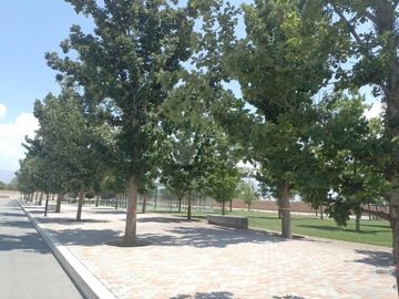 Terrenos en venta en Fraccionamiento residencial Punta Bosque