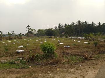 Tanah Jalan Raya Serang Petir Harga Miring
