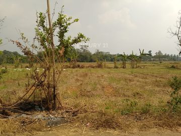 Tanah Jalan Raya Serang Petir Harga Miring