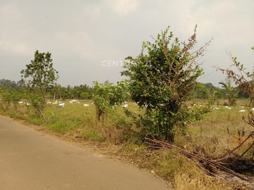 Tanah Jalan Raya Serang Petir Harga Miring