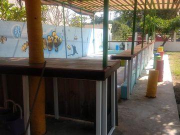 Linda propiedad Mata de uva con construcción  a 50 mts de la playa 1200m2