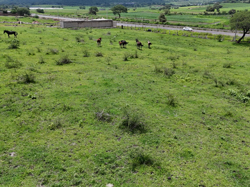 Terreno en venta 5 Hectáreas a 40 min ZMG