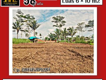 Jual Murah Kavling Lokasi di Desa Palaan - Kec. Ngajum