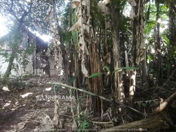Yama Tanah SHM Strategis Depan Jalan Utama Citayam